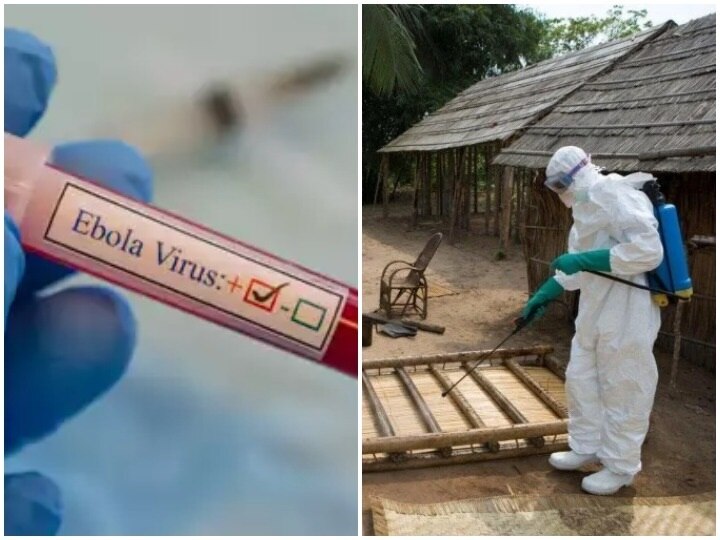 Now Ebola virus outbreak in Conga five new dead due to virus કોરોના વાયરસના કહેર વચ્ચે કોંગોમાં સામે આવ્યો વધુ એક જીવલેણ વાયરસ, WHOએ કરી પુષ્ટિ