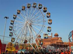 સૌરાષ્ટ્રમાં તહેવારો પહેલા ગૃહિણીઓ માટે શું આવ્યા મોટા સમાચાર? જાણો વિગત