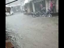 અમરેલી જિલ્લાના કયા-કયા વિસ્તારોમાં ધોધમાર વરસાદ ખાબક્યો? ભારે વરસાદથી નદીઓમાં જોવા મળ્યું પુર