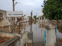 વરસાદની ઝમાવટ: વિજાપુરમાં 5.5 ઈંચ, 24 કલાકમાં ગુજરાતમાં કઈ જગ્યાએ કેટલા ઈંચ વરસાદ નોંધાયો? જાણો લેટેસ્ટ આંકડા