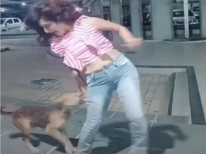 Tiktok star Priya Golani's video viral સુરતની ટીક ટોક સ્ટાર છોકરી વીડિયો શૂટ કરતી હતી ને કૂતરાએ ભરી લીધું બચકું, જુઓ વીડિયો