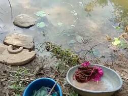 વડોદરાઃ નદીમાં કપડા ધોતી મહિલાને મગરે ફાડી ખાધી, કલાકની જહેમત પછી મહિલાને છોડાવી પણ.....