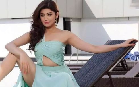 former Indian Captain Mahendra Singh Dhoni has to retired said Telgu actress Prantia Subhash સાઉથની આ હોટ એક્ટ્રેસે ધોની વિશે કરી શું કોમેન્ટ કે ધોનીના ચાહકો થઈ ગયા નારાજ ? જાણો વિગત