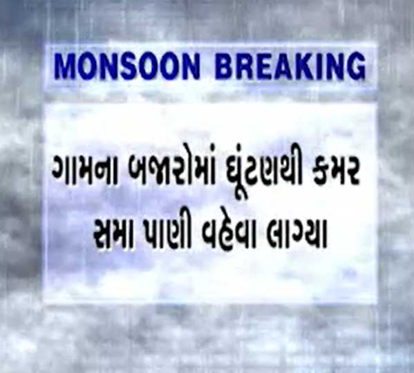 ગુજરાતના આ ગામમાં ધોધમાર વરસાદથી જ્યાં જુઓ ત્યાં પાણી જ પાણી, સામે આવી તસવીરો