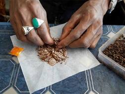 સૌરાષ્ટ્રના આ જિલ્લામાં પાન-માવાના વેચાણને લઈને કલેક્ટરે શું આપ્યો મોટો આદેશ? જાણો