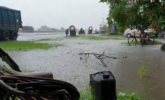 Rainfall in 78 talukas of the state રાજ્યમાં સાંજે 6 વાગ્યા સુધીમાં 78 તાલુકામાં વરસાદ, સૌથી વધુ નવસારીના જલાલપોરમાં 4.1 ઇંચ