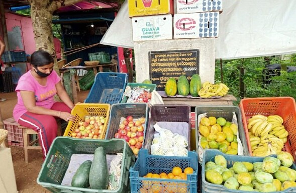Odisha Actress Pratibha Maharana Now A Fruit selling due to lockdown લૉકડાઉનના કારણે કામ જ ના રહેતાં આ એક્ટ્રેસે ફળ વેચીને ચલાવવું પડે છે ઘર, જાણો વિગત