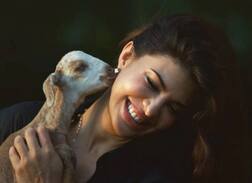 જેક્લીન ફર્નાન્ડીઝ રોજ સવારે આ ચીજના અવાજથી જાગે છે, જાણો વિગત