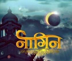 'નાગિન 5'માં મુખ્ય ભૂમિકામાં દેખાશે ટીવી સીરિયલનો આ સુપરસ્ટાર, જાણો વિગતે