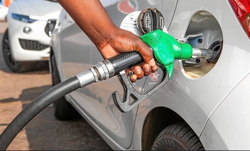 petrol diesel price increased after 29 days know new rates in your city 29 દિવસ બાદ પેટ્રોલ-ડીઝલની કિંમતમાં વધારો, જાણો કેટલો ભાવ વધારો થયો....