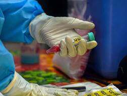 Corona Vaccine: સાઉદી અરબમાં વેક્સીનના માનવ પરીક્ષણના ત્રીજા તબક્કાની તૈયારી શરૂ, જાણો કેટલા લોકો થશે સામેલ