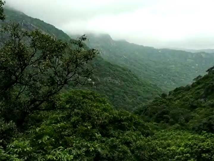 6 Inch Rain in Mount Abu at last 24 hours ગુજરાત પાસેના આ હિલ સ્ટેશનમાં કેટલા ઈંચ વરસાદ ખાબક્યો? હમણાં જવાનો વિચાર હોય તો.....