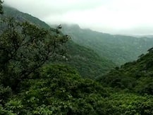 ગુજરાત પાસેના આ હિલ સ્ટેશનમાં કેટલા ઈંચ વરસાદ ખાબક્યો? હમણાં જવાનો વિચાર હોય તો.....