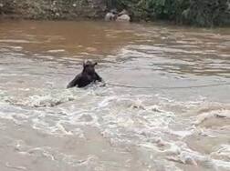 સાબરકાંઠાઃ પાણીના ધસમસતા પ્રવાહમાં યુવકે નાંખ્યું બાઇક ને તણાયો, પછી શું થયું?