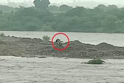 દાહોદઃ ઝાલોદની અનાસ નદીમાં અસ્થિ વિસર્જન કરવા જતાં બેટ પર ફસાયા 5 યુવકો, એક યુવક તણાયો