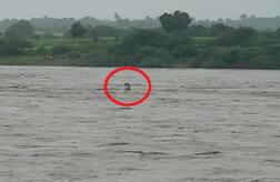 દાહોદઃ ઝાલોદની અનાસ નદીમાં અસ્થિ વિસર્જન કરવા ગયેલા પાંચ યુવકો તણાયા, એકનું મોત