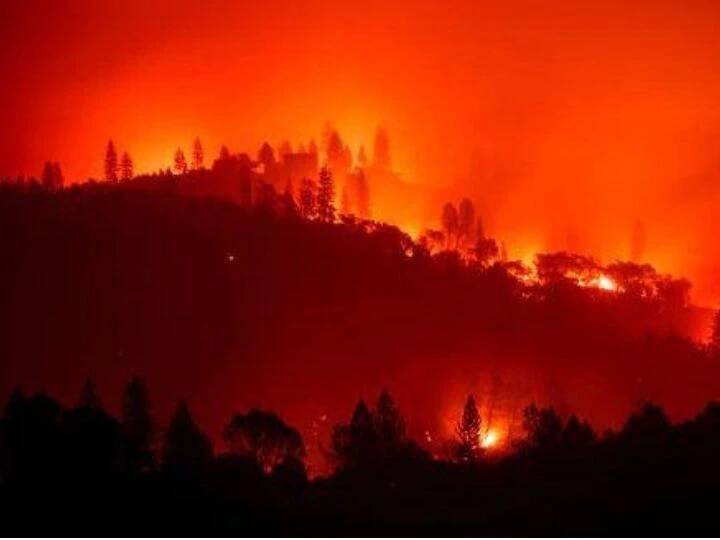 California Jungle Fire 700 houses burnt down in one week after fire spreads over 10 lack acre land કેલિફોર્નિયાના જંગલમાં લાગેલી ભીષણ આગ 10 લાખ એકર સુધી ફેલાઈ, 700થી વધુ ઘર બળીને ખાખ