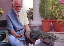 પ્રધાનમંત્રી નિવાસમાં મોરને દાણા ખવડાવતાં જોવા મળ્યા પીએમ મોદી, કવિતા પણ લખી