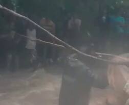 પાવાગઢઃ ખૂણિયા મહાદેવ ધોધ ખાતે ફસાયેલા 50થી વધુ લોકોને દિલધડક ઓપરેશનમાં બચાવાયા