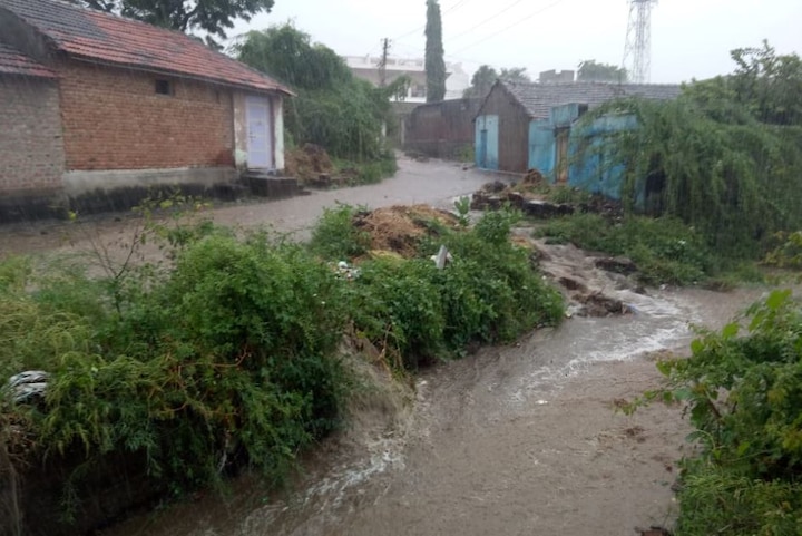 Amreli Rain: farmer worried after continue rain in district અમરેલીમાં સાર્વત્રીક વરસાદથી જગતના તાતની વધી ચિંતા, જાણો કયા ડેમના ખોલવામાં આવ્યા દરવાજા