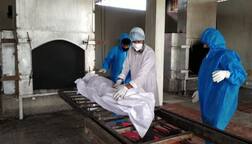 કોરોના અપડેટઃ ગુજરાતમાં આજે થયેલા કુલ મોતના 50 ટકા સુરતમાં નોંધાયા, જાણો વિગતે