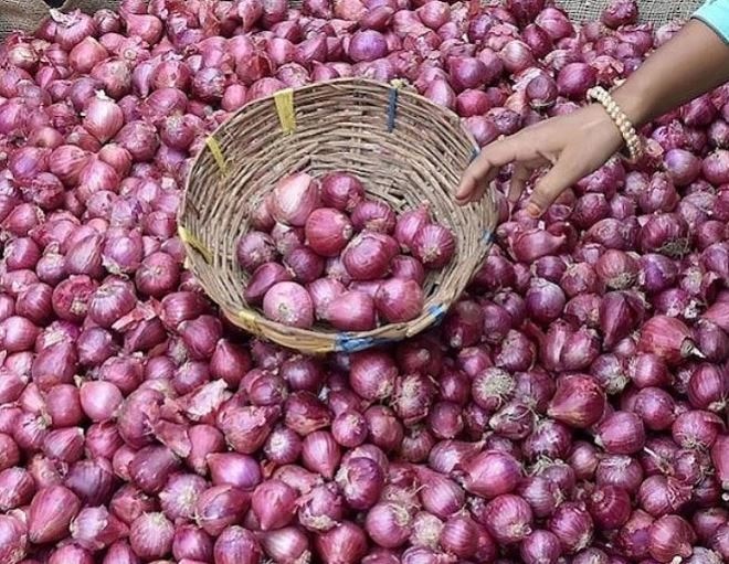*Onion Export Banned Government bans export of all varieties of onions with immediate effect* ડુંગળીના નિકાસ પર સરકારે લગાવ્યો પ્રતિબંધ, વધતી કિંમતોના કારણે લેવાયો નિર્ણય
