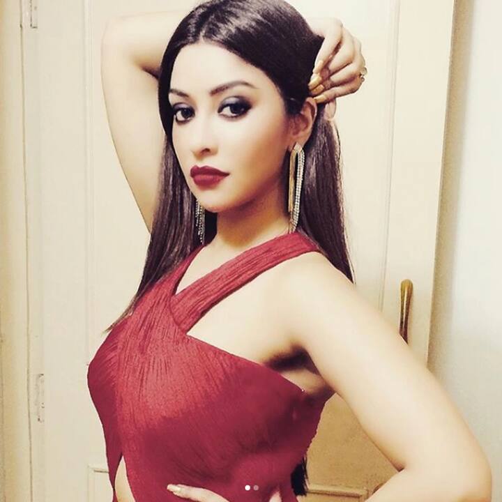 પછી પાયલે કૉમેડી ફિલ્મ પટેલ કી પંજાબી શાદીમાં કામ કર્યુ હતુ. આ ફિલ્મમાં તેનો હીરો વીર દાસ હતો. ફિલ્મ 15 સપ્ટેમ્બર 2017એ રિલીઝ થઇ હતી. પાયલે ટીવી સીરિયલ સાથ નિભાના સાથિયામાં પણ કામ કર્યુ છે.