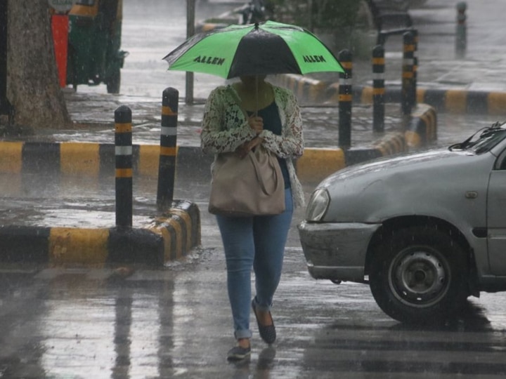 Weather Updates: Heavy Rainfall in Gujarat at last 24 hours બગસરામાં 4 તો માણાવદરમાં 3 ઈંચ વરસાદ, ગુજરાતના બીજા કયા વિસ્તારોમાં કેટલા ઈંચ વરસાદ તુટી પડ્યો? જાણો