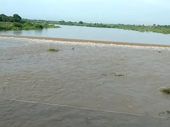 Flood situation in Shetrunji river of Amreli ભારે વરસાદને પગલે સૌરાષ્ટ્રની કઈ નદીમાં પુરની સ્થિતિ સર્જાઈ? પાણીનો ધસમસતો પ્રવાહ થયો વહેતો