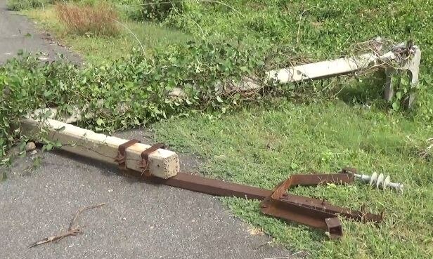 More than 13 power poles collapsed due to hurricane in Patan district ગુજરાતના આ જિલ્લામાં ભારે પવન અને વાવાઝોડાથી 13થી વધુ વીજપોલ ધરાશાયી, ખેતીના પાકને નુકશાન