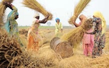 ખેડૂત બિલને લઈ મચેલી બબાલ વચ્ચે મોદી સરકારે લીધો ફેંસલો, રવી પાકના ટેકાના ભાવ વધાર્યા