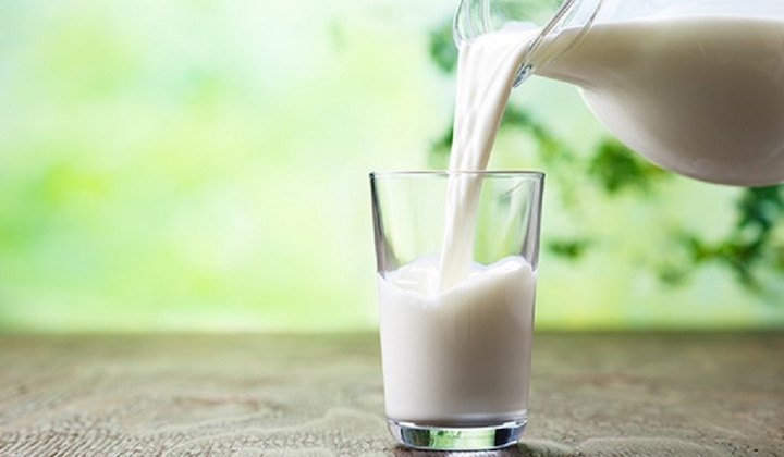 A liter of milk of this female animal from Gujarat sold for Rs. 7000, find out why the price is so high ગુજરાતના આ માદા પ્રાણીનું એક લિટર દૂધ 7000 રૂપિયામાં વેચાયું, જાણો કેમ છે આટલો ઉંચો ભાવ ?