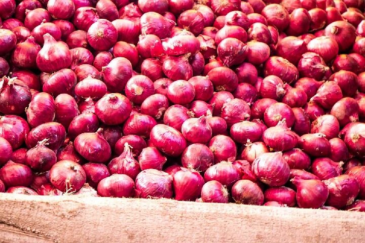 Onion price hike due to new stock down and high demand in Rajkot  ડુંગળીની આવક ઘટતા ભાવ આસમાને, જાણો રાજકોટ રિટેલ માર્કેટમાં કિલોના કેટલા છે ભાવ?