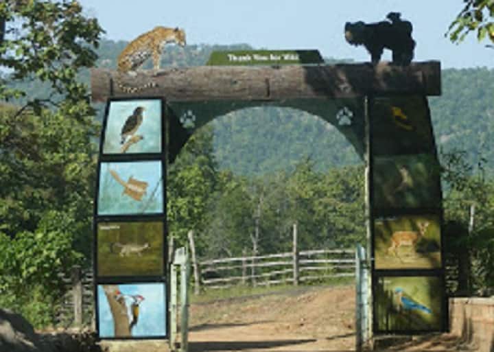 કોરોનાનું સંક્રમણ વધતા ગુજરાતનું કયું જાણીતું અભયારણ મુલાકાતીઓ માટે કરાયું બંધ? જાણો વિગત Ratanmahal Sloth Bear Sanctuary of Dahod closes for tourist due to hike covid-19 cases કોરોનાનું સંક્રમણ વધતા ગુજરાતનું કયું જાણીતું અભયારણ મુલાકાતીઓ માટે કરાયું બંધ? જાણો વિગત