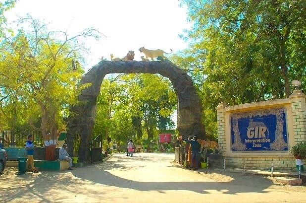 This park of Saurashtra will be open for visitors from today, find out when Gir Sanctuary will be unlocked સૌરાષ્ટ્રનું આ પાર્ક આજથી મુલાકાતીઓ માટે ખુલશે, જાણો ગીર અભયારણ્ય ક્યારથી અનલોક થશે