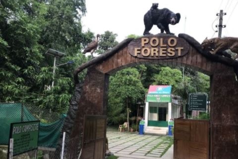 Sabarkantha's Polo Forest Saturday-Sunday ban for tourists સાબરકાંઠા પોળો ફોરેસ્ટમાં શનિ-રવિ પ્રવાસીઓ માટે પ્રતિબંધ, જિલ્લા કલેક્ટરે બહાર પાડ્યું જાહેરનામું