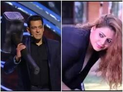 ગુજરાતી ફિલ્મોની આ હૉટ એક્ટ્રેસ સલમાન ખાનના બિગ બૉસમાં કરશે વાઈલ્ડ કાર્ડ એન્ટ્રી, જાણો ક્યા ગુજરાતી બિઝનેસમેન સાથે કર્યાં છે લગ્ન?