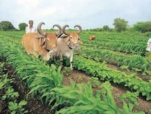 રાજ્યના ખેડૂતો માટે શું આવ્યા મોટા રાહતના સમાચાર, જાણો