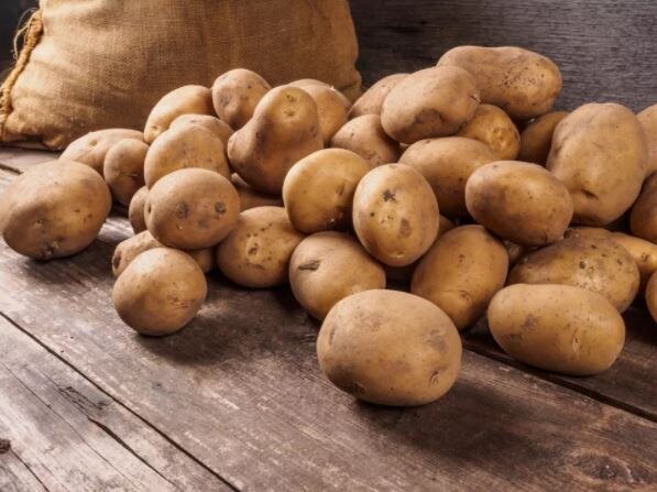 Potato prices at historical levels due to corona, find out how much was quoted per 20 kg? કોરોનાના કારણે બટાકાના ભાવ ઐતિહાસિક સપાટીએ, જાણો એક મણના કેટલા બોલાયા ?