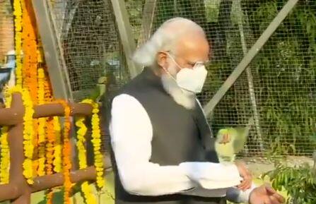 PM Modi at Jungle Safari in Kevadia કેવડિયામાં જોવા મળ્યો પ્રધાનમંત્રી નરેંદ્ર મોદીનો પક્ષી પ્રેમ, જુઓ વીડિયો