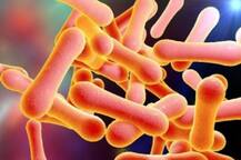 ગુજરાતના આ જિલ્લામાં ફરી ડીપ્થેરિયા રોગે માથુ ઉંચક્યું, 8 મોત થતા તંત્ર થયું દોડતું