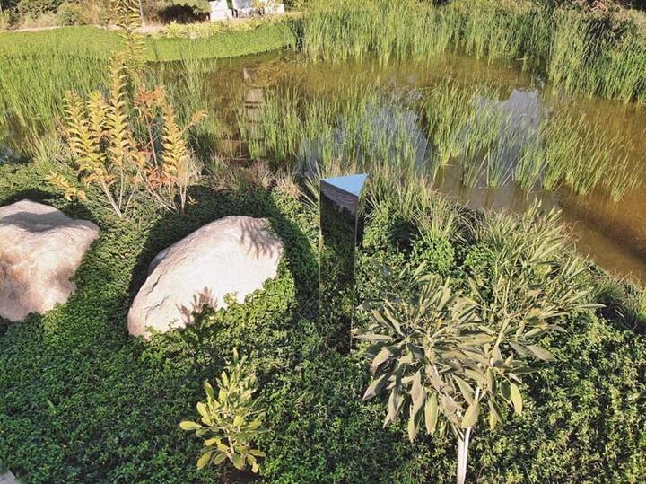 વર્ષ 2020ના નવેમ્બરમાં અમેરિકાના યુટાના રણમાં 12 ફૂટનો પહેલો રહસ્યમય મોનોલિથ જોવા મળ્યો હતો. ત્યારબાદ અમેરિકાના કેલિફોર્નિયા, યુરોપિયન દેશ રોમાનિયા તથા અન્ય સ્થળે મોનોલિથ જોવા મળ્યા હતા. (photo- Symphony Forest Park)