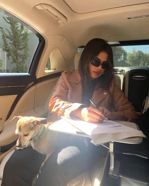 લગ્ઝરી કારોની વાત કરીએ તો પ્રિયંકા ચોપડા અને નિક જોનસના પાસે  plush Rolls-Royce Ghost જેવી લગ્ઝરી કાર છે. જેની કિંમત 5 કરોડથી વધુ છે. (Photo Credit - Priyanka Chopra Instagram)