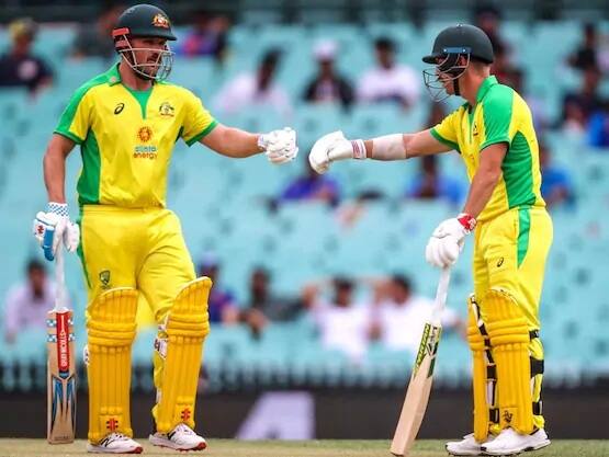 બીજી ટી20માં ભારત સામે ફિન્ચની જગ્યાએ અનુભવી ક્રિકેટર મેથ્યૂ વેડે કાંગારુ ટીમની કમાન સંભાળી હતી, અને સારી બેટિંગ કરતા આક્રમક ફિફ્ટી લગાવી હતી.(ફાઇલ તસવીર)