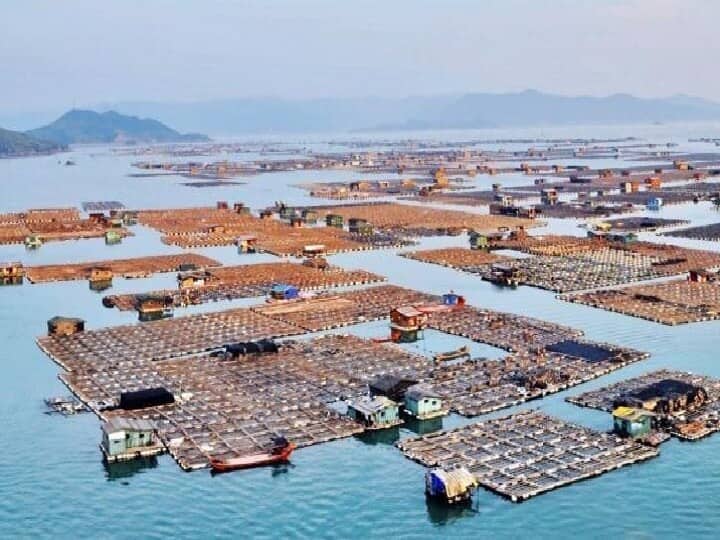 Interesting Story: settled A village above the sea in china આ દેશના લોકોએ સમુદ્રની ઉપર વસાવી લીધુ ગામ, દિલચસ્પ છે આની કહાની......