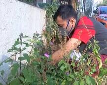 કોરોનાકાળમાં અમદાવાદીઓની કેવી રીતે બદલાઇ ગઈ લાઇફસ્ટાઇલ? બોપલના યુવાનની સ્ટોરી વાંચીને થઈ જશો ખુશ