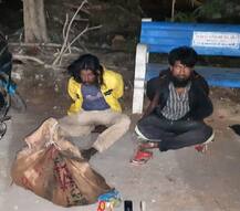 ગીર સોમનાથમાં કુંજનો શિકાર કરતાં બે આરોપી ઝડપાયા, કેવી રીતે ઘટના આવી સામે?