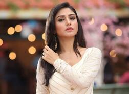 ડિરેક્ટરે હોટ એક્ટ્રેસને કહ્યું, રોલ આપું પણ મારી સાથે શરીર સંબંધ બાંધવા પડશે, એક્ટ્રેસે શું કર્યું ?