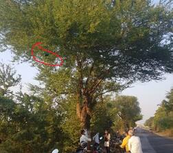 સુરતઃ કારે ટક્કર મારતાં 3 વર્ષની છોકરી 30 ફૂટ ઉછળી ને ઝાડની ડાળી ઘૂસી જતાં મોતને ભેટી, જાણો કરૂણ બનાવ વિશે