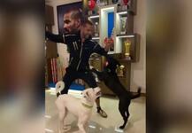 ભારતીય ક્રિકેટરે પાલતુ કુતરા સાથે કર્યો 'તુહાડા કુત્તા ટૉમી' પર જબરદસ્ત ડાન્સ, વીડિયો થયો ધડાધડ વાયરલ